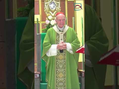 Cardenal Carlos Aguiar Retes La palabra de Dios nos alienta a ser personas sabias #homilia #misa