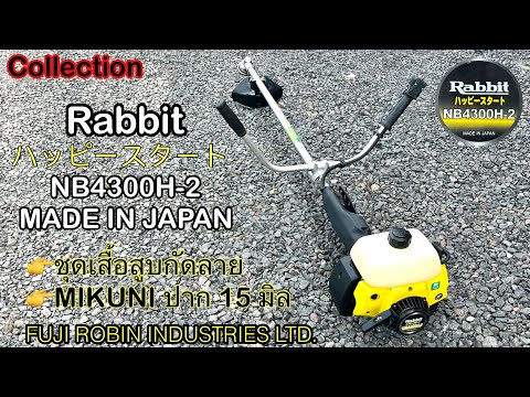 ของแทร่!!แรพบิท(Rabbit)NB430