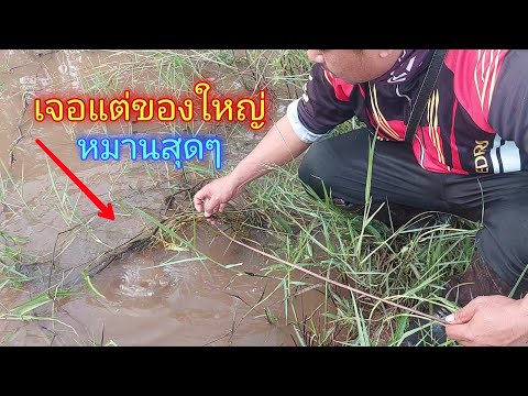 ใส่เบ็ดปลาวันนี้-เจอแต่ของใหญ่ ใส่เบ็ดปลาวันนี้-เจอแต่ของใหญ่