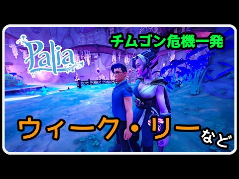 Palia 1423 アップデートに備えての