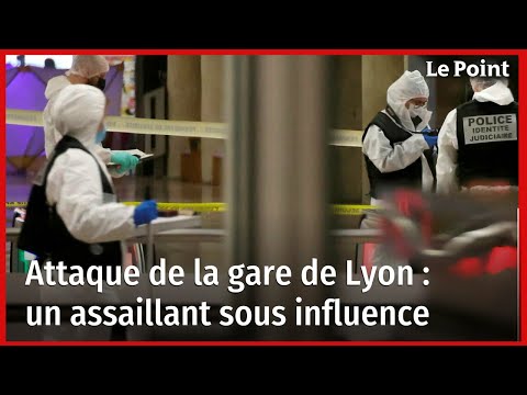 Attaque de la gare de Lyon : un assaillant sous influence