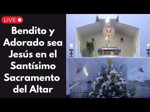 Adoración al Santísimo en vivo / Live Adoration of the Blessed Sacrament