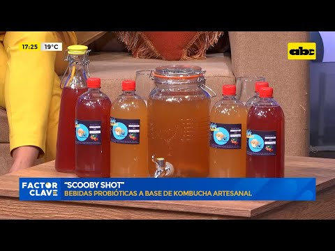 “Scooby Shot”, bebidas probióticas a base de kombucha artesanales