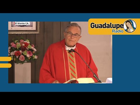 ¿Qué nos dice hoy la palabra de Dios?