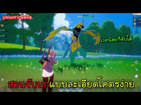 MiraiboGO[9]สอนจับนกแบบละเอี