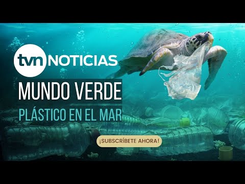 Mundo Verde: El impacto del plástico en el mar