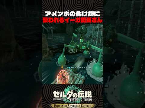 【ティアキン】アメンボの化け物に襲われるイーガ団員さん【ゼルダの伝説】