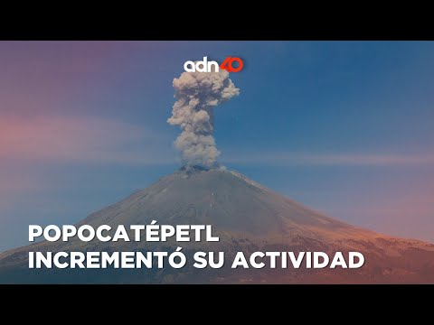 ¿En qué fase del semáforo de alerta volcánica se debe evacuar? | Ruleta Informativa