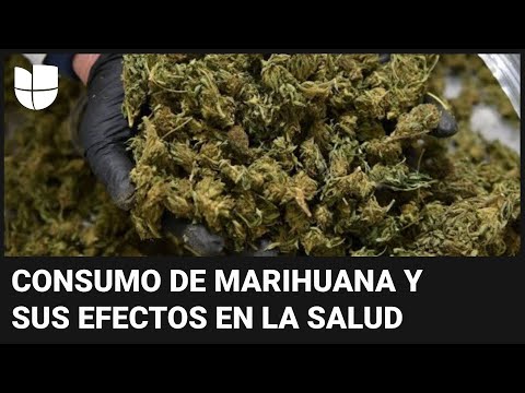 Consumo habitual de marihuana puede aumentar el riesgo de cáncer de cabeza y cuello, según estudio