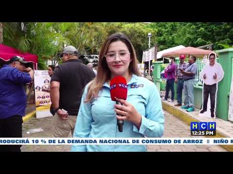 Celebran elecciones en el Colegio de Ingenieros de Honduras