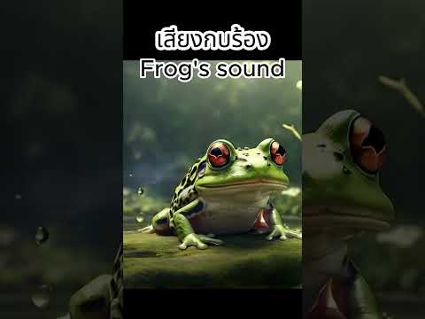 ฝนตกกบร้องfrogfrogsound