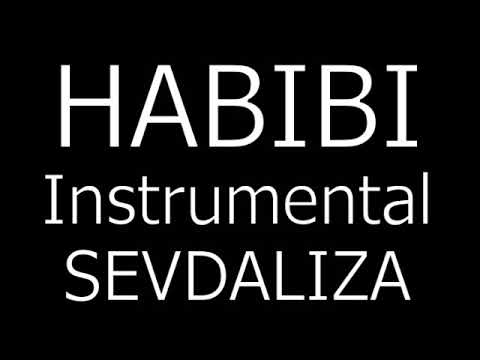 HABIBI - Sevdaliza instrumental
