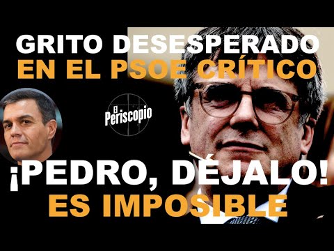 ¡SECTORES DEL PSOE PIDEN A SA?NCHEZ QUE LO DEJE TRAS EL U?LTIMO CHANTAJE DE PUIGDEMONT!