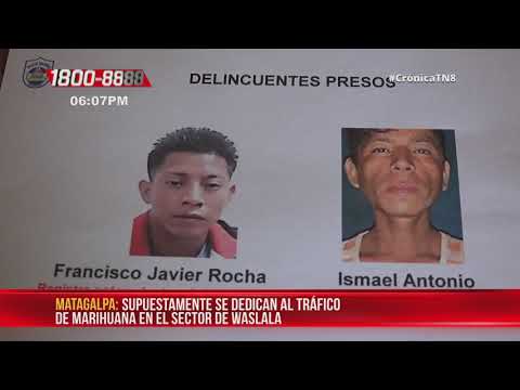 Policía en Matagalpa logra la captura de traficante de marihuana – Nicaragua