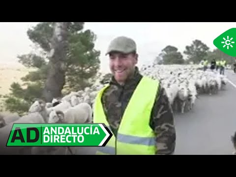 Andalucía Directo | Lunes 16 de enero