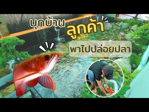 พาบุกบ้านลูกค้ากันนนนarowana