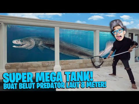 GILA! BELI IKAN BELUT MONSTER PREDATOR LAUT 8 METER!!! DIA NGAMUK AQURIUM SUPER BESAR HAMPIR PECAH!