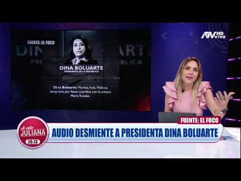Dina Boluarte: Chat y audio confirmarían coordinaciones con Maritza Sánchez y Henry Shimabukuro