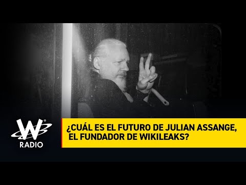 Assange lleva más de un año en prisión sin deberle nada a la justicia: Fidel Narváez