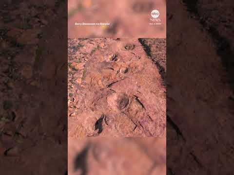 Drone captures world's largest continuous set of dino tracks