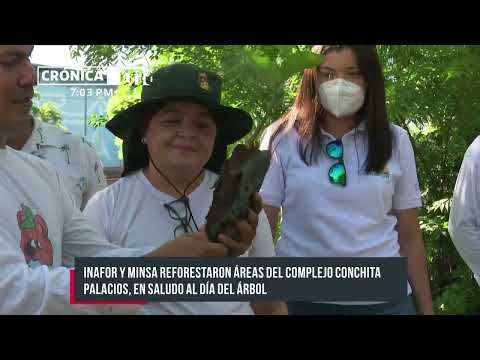 INAFOR y MINSA Nicaragua reforestan áreas del complejo Conchita Palacios - Nicaragua