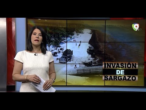 Invasión del Sargazo | El Informe con Alicia Ortega