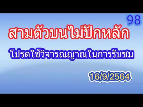 สามตัวบนไม่ปักหลัก16/9/2564 สามตัวบนไม่ปักหลัก16/9/2564