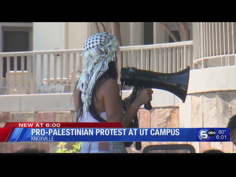Pro-Palestinian protest at UT campus