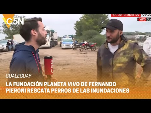 GUALEGUAY: La FUNDACIÓN PLANETA VIVO de FERNANDO PIERONI RESCATA PERROS de las INUNDACIONES