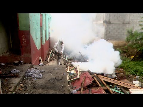 Preocupación en San Miguelito por mala recolección de basura y casos de dengue