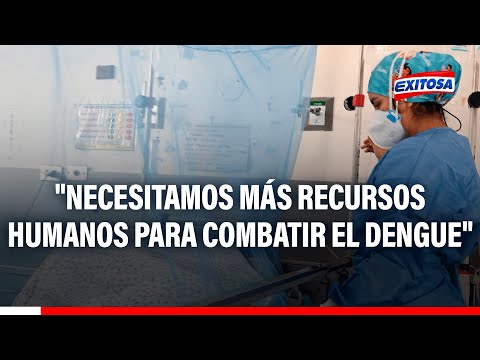 Dengue en el Perú: Necesitamos más recursos humanos frente a los contagios, indica especialista