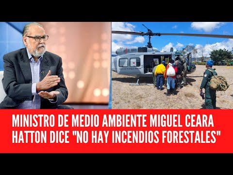 MINISTRO DE MEDIO AMBIENTE MIGUEL CEARA HATTON DICE NO HAY INCENDIOS FORESTALES