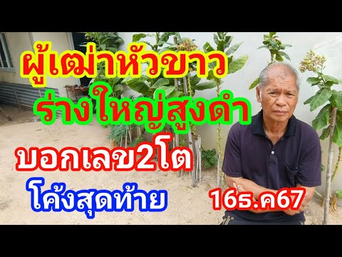 ผู้เฒ่าหัวขาวร่างใหญ่สูงดำบอกเ