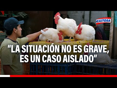 Senasa resta importancia a brote de gripe aviar en La Libertad que mató a 4 mil aves