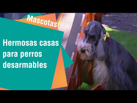 Hermosas casas para perros desarmables | mascotas