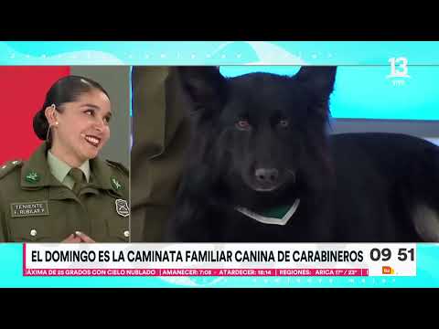 Familia canina de Carabineros visita Tu Día | Tu Día | Canal 13
