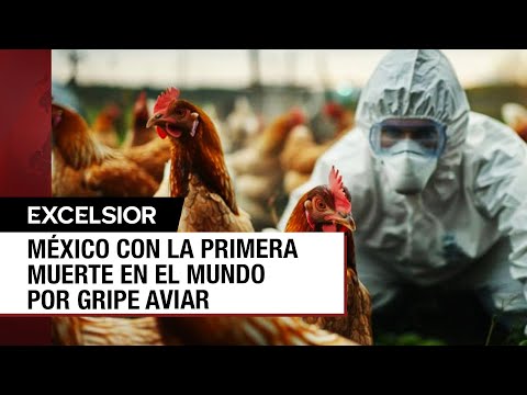 ¿México debe estar preocupado por la gripe aviar?