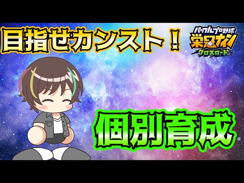 【目指せ999！】雑に個別育成【栄冠クロス】【栄冠ナインクロスロード】【パワプロ 】