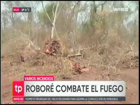 04102024   ROBORE COMBATE EL FUEGO   UNITEL