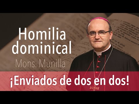 ¡Enviados de dos en dos!  Homilía 14.07.24 / Domingo 15º Tiempo Ordinario