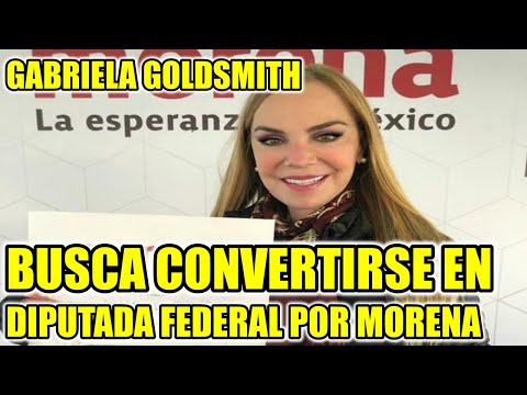 GABRIELA GOLDSMITH BUSCA CONVERTIRSE EN DIPUTADA FEDERAL POR MORENA