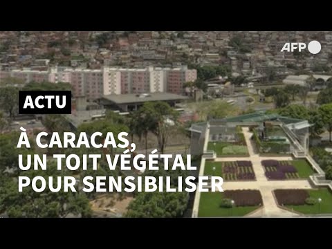 Venezuela: un toit végétalisé pour sensibiliser au changement climatique | AFP