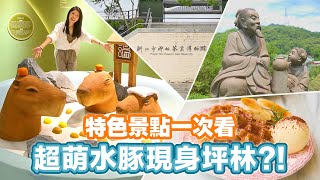 坪林周邊這樣玩！秘境景點、美食推薦你