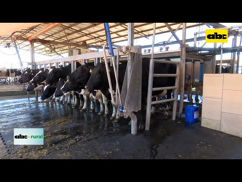 Evolución de la ganadería lechera en el departamento de Caaguazú