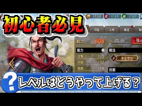 【初心者必見】武将のレベルの上げ方はどうする？【#キングダム覇道-kingdom】