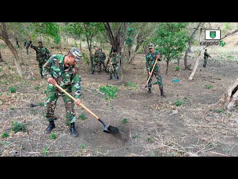 Ejército de Nicaragua participó en jornadas ecológicas en las lagunas de Nejapa y Xiloá