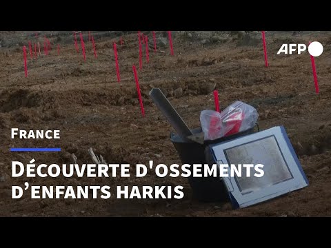 Dans le sud de la France, des tombes d'enfants harkis révélées par des fouilles | AFP