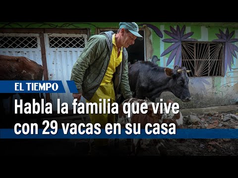 Habla la familia que vive en su casa con 29 casas en San Cristóbal | El Tiempo
