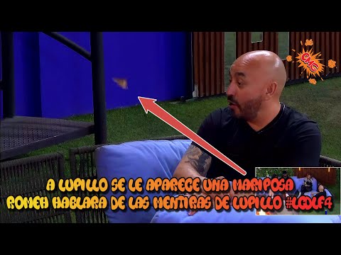 A Lupillo Se Le Aparece Una Mariposa Romeh Hablara De Las Mentiras De Lupillo | #lcdlf4