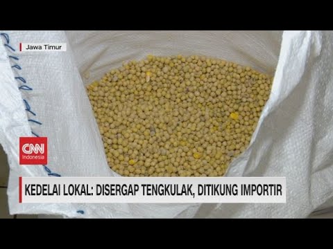 Kedelai Lokal: Disergap Tengkulak, Ditikung Importir